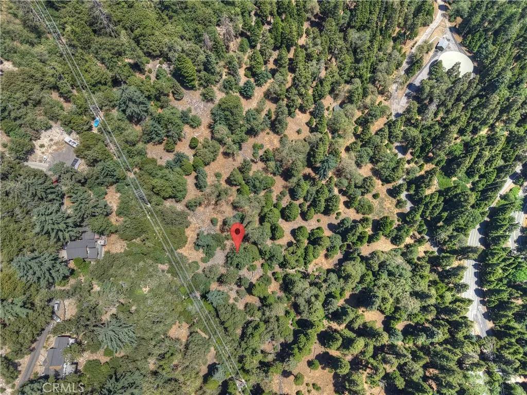 Twin Peaks, CA 92391,0 Pine