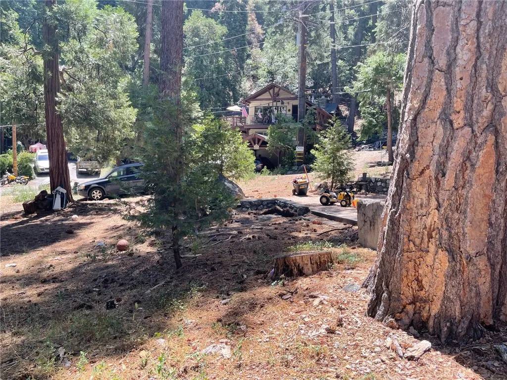 Forest Falls, CA 92339,0 Cedar