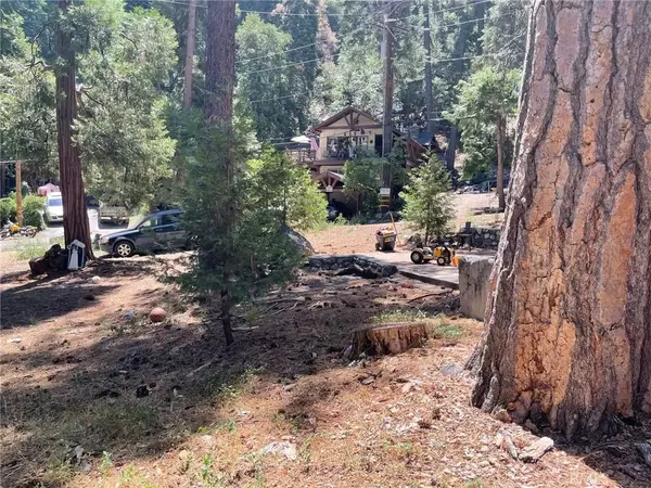 Forest Falls, CA 92339,0 Cedar