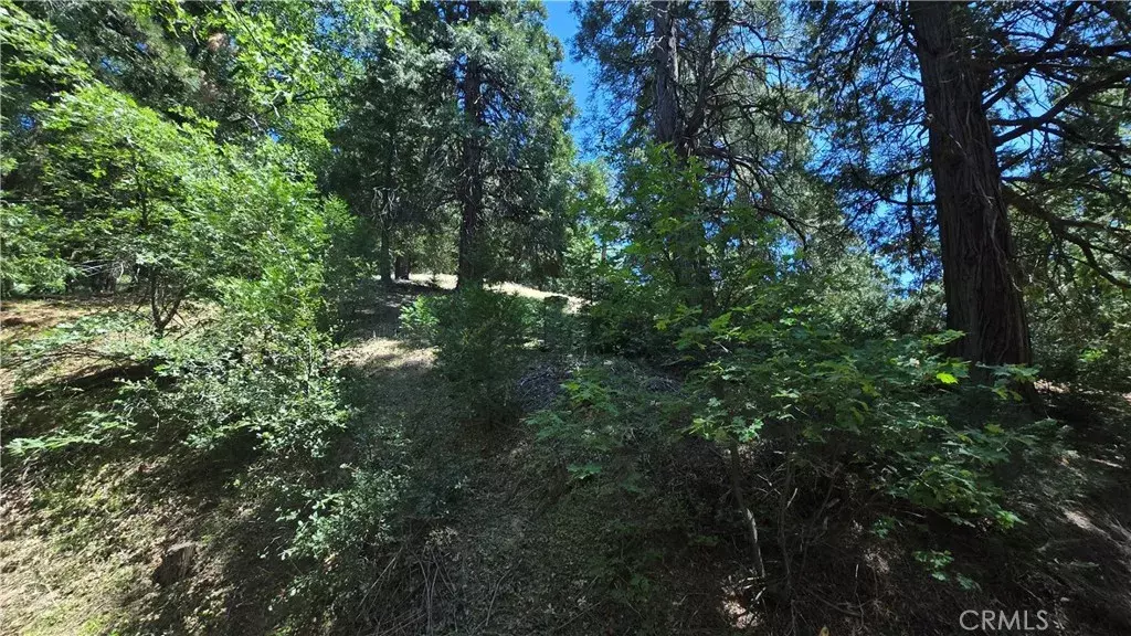 22494 Mojave River, Cedarpines Park, CA 92322