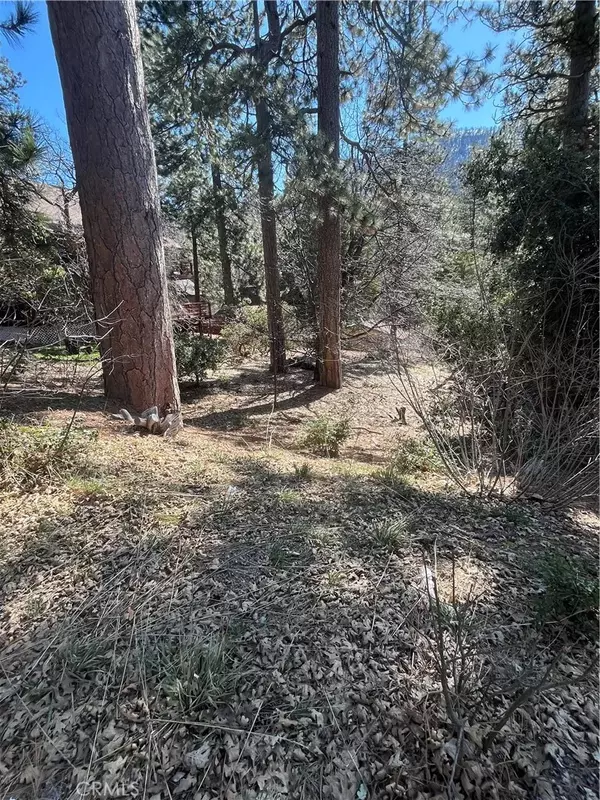 Angelus Oaks, CA 92305,0 Robin Oak