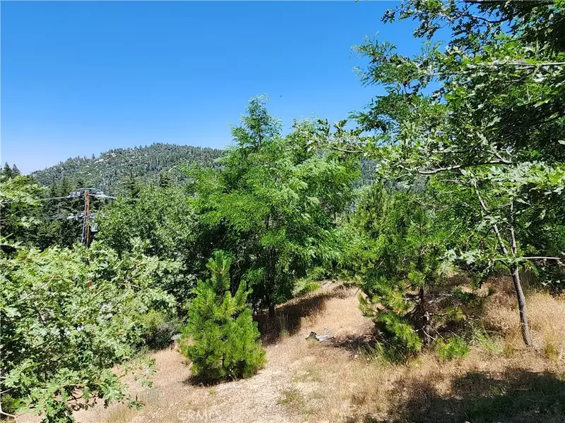 31912 Encina, Running Springs, CA 92382