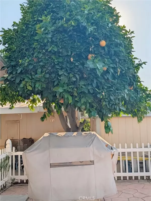 Redlands, CA 92374,626 N Dearborn St Spc 145