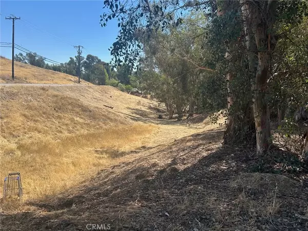 Lake Elsinore, CA 92530,0 TERETICORNIS AVE,