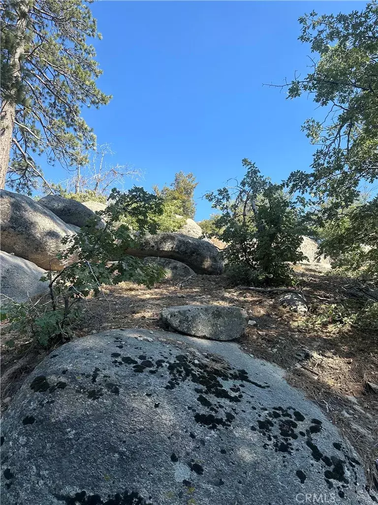 Arrowbear, CA 92382,0 Hillcrest