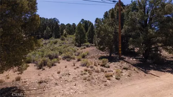 Big Bear City, CA 92314,0 Upland