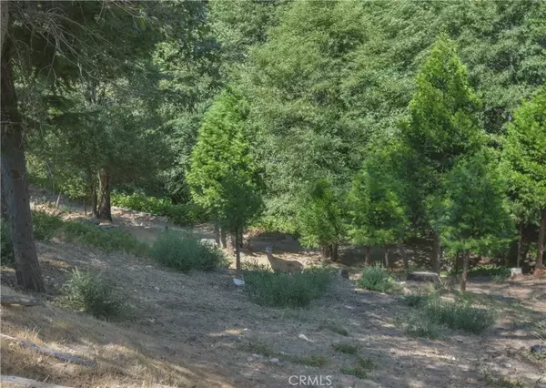 Cedar Glen, CA 92321,169 Alder Lane
