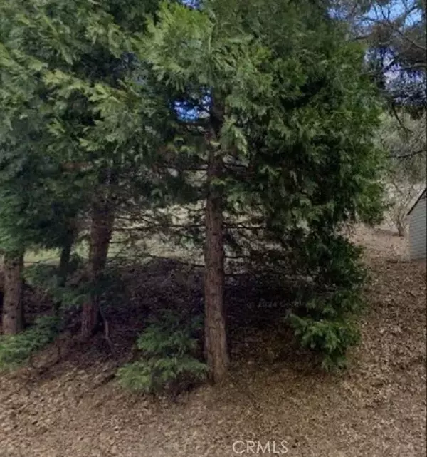 Crestline, CA 92325,0 Dart Canyon