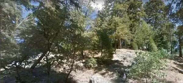 Cedarpines Park, CA 92322,0 Fir