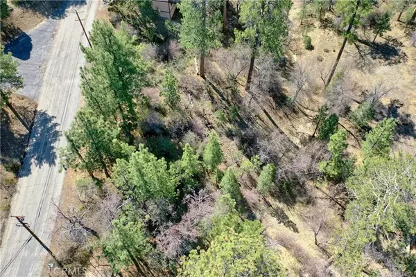 Big Bear, CA 92314,0 Villa Grove