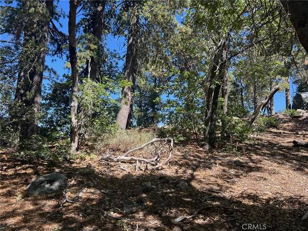 0 Tank, Arrowbear, CA 92308