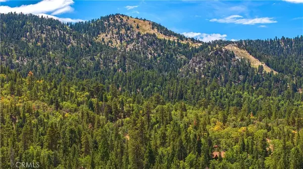 Big Bear Lake, CA 92315,43805 Colusa