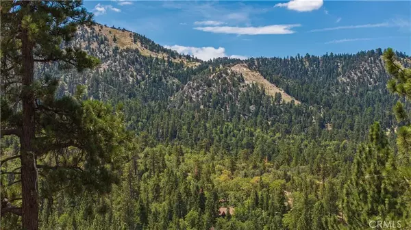 Big Bear Lake, CA 92315,43805 Colusa