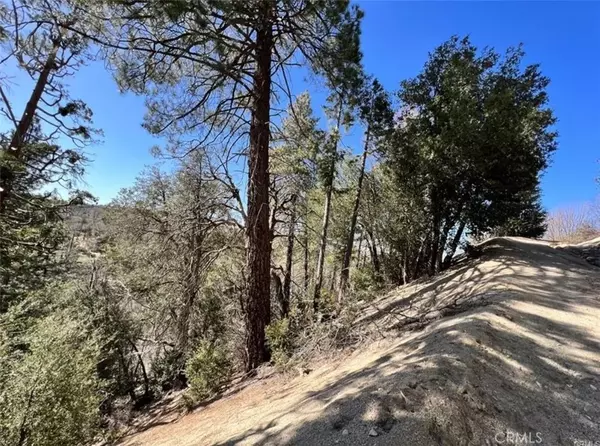 Cedar Glen, CA 92321,0 Coulter