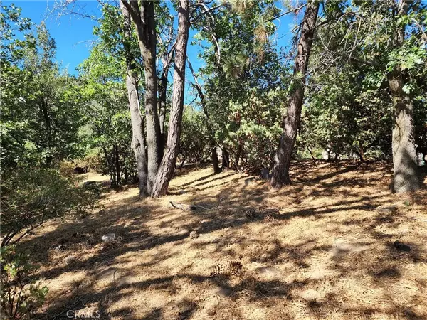 Lake Arrowhead, CA 92352,1248 Glacier