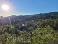 Running Springs, CA 92382,1894 Arrow Bear Park