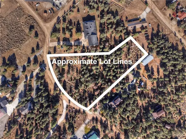 Big Bear City, CA 92314,0 Minnow