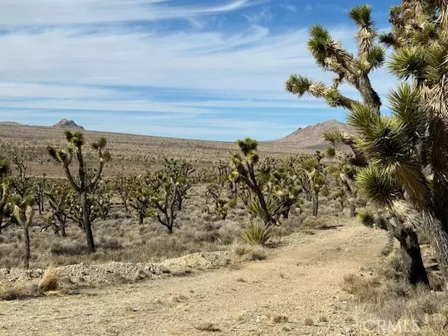 0 street, Cima, CA 92323