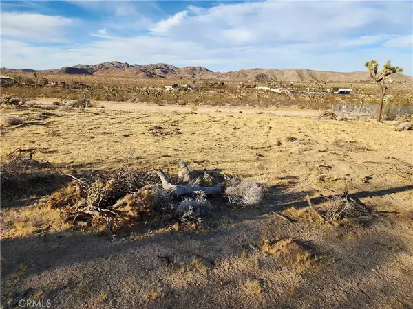 Joshua Tree, CA 92252,61329 Rocky Vista