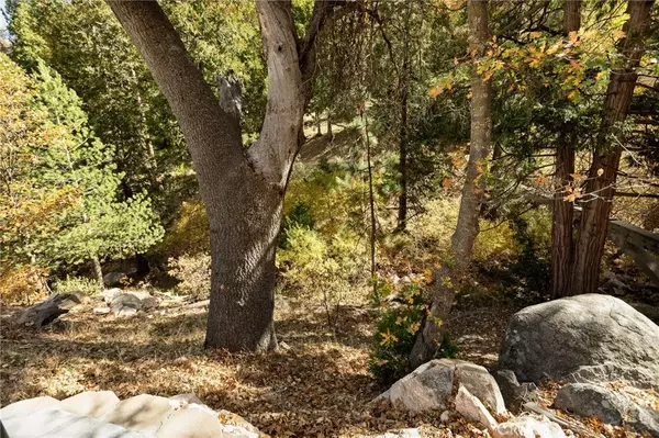 Lake Arrowhead, CA 92352,1285 N State Highway 173