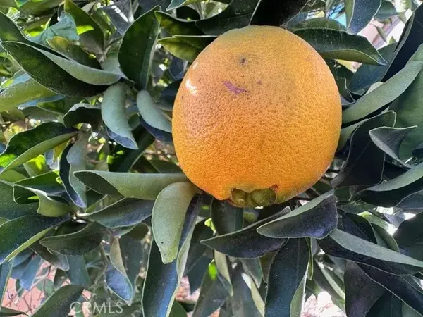 San Jacinto, CA 92582,913 S Grand #172