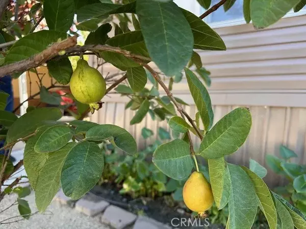 San Jacinto, CA 92582,913 S Grand #172