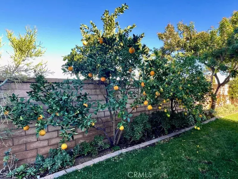 879 Derby, Corona, CA 92882