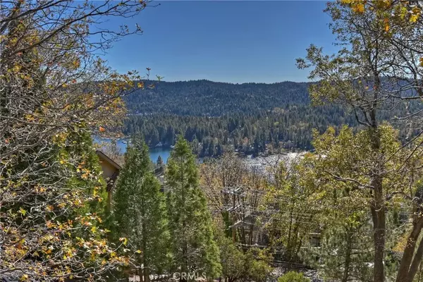 Lake Arrowhead, CA 92352,27685 St Bernard