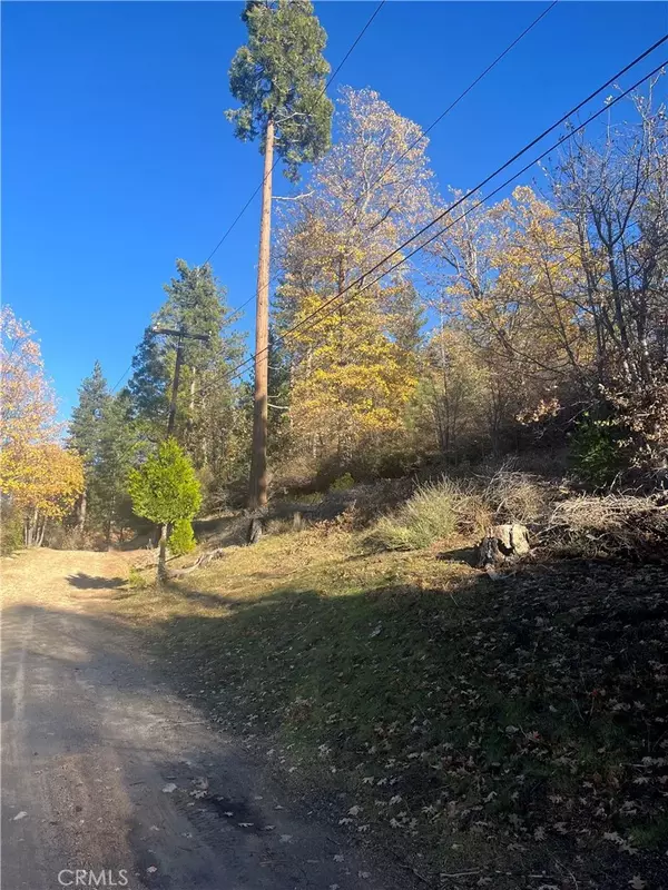 Cedar Glen, CA 92321,29834 Juniper