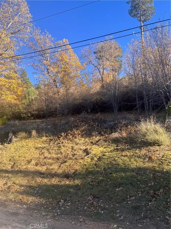 Cedar Glen, CA 92321,29834 Juniper