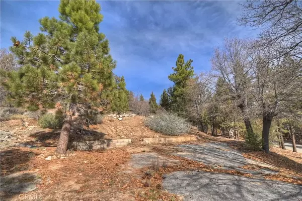 Fawnskin, CA 92333,1115 Fawnskin