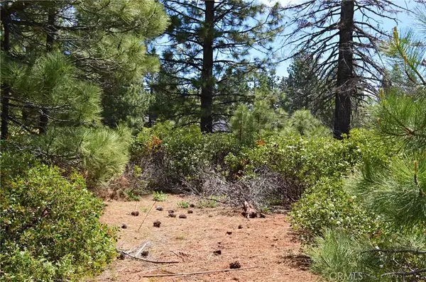 Lake Almanor, CA 96137,329 Flint