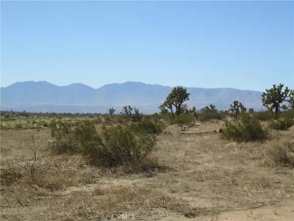 Palmdale, CA 93591,145 Vac/Vic 145 Ste/Ave N8
