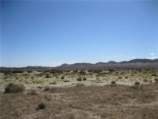 Palmdale, CA 93591,145 Vac/Vic 145 Ste/Ave N8