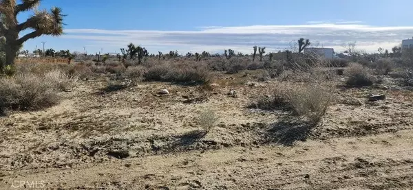 0 Buena Vista, Pinon Hills, CA 92372