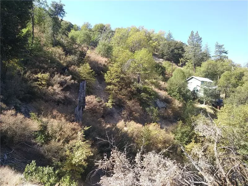 30044 Lignum Vitae, Cedar Glen, CA 92321