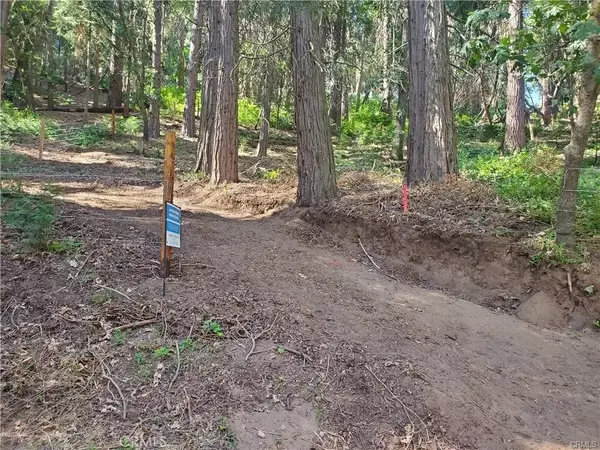 Cedarpines Park, CA 92322,47 El Valle