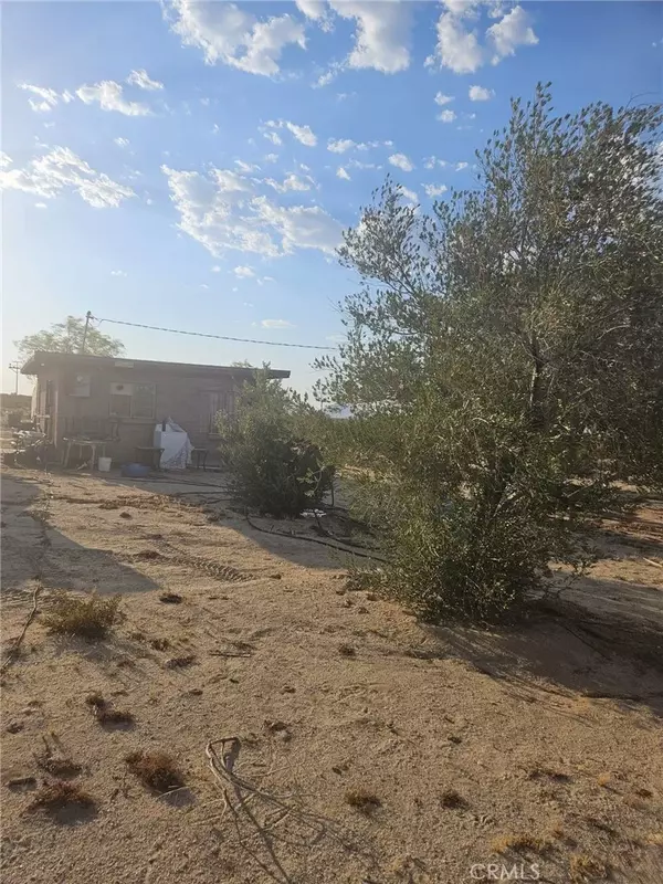 29 Palms, CA 92277,67826 Daisy
