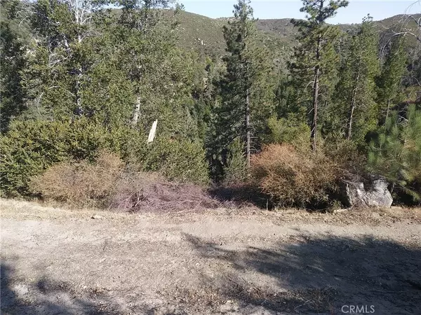 Cedar Glen, CA 92321,0 Hickory
