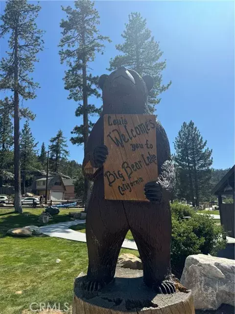 0 Canyon, Big Bear Lake, CA 92315