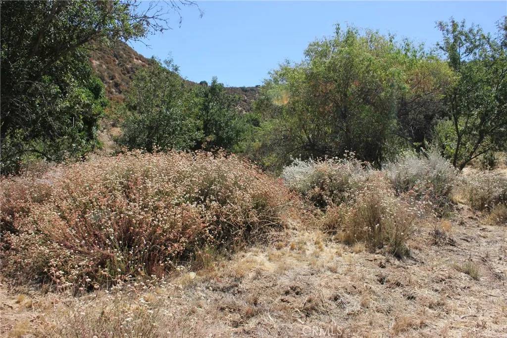 Yucaipa, CA 92399,0 panorama