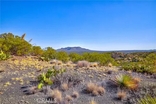 Mountain Center, CA 92561,65200 St Pierre