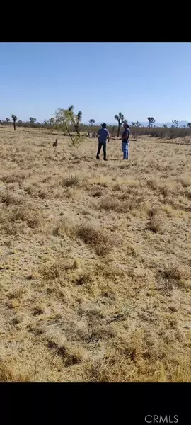 6800 South, Phelan, CA 92371