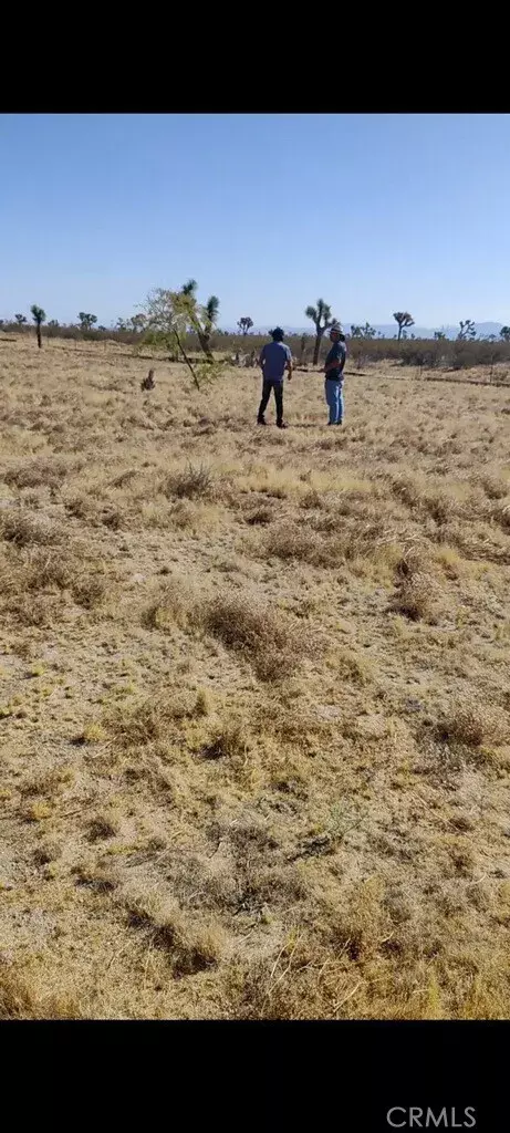 Phelan, CA 92371,6800 South