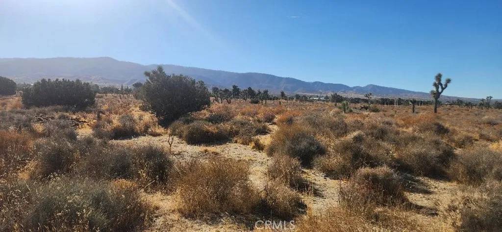 0 Silver Rock, Pinon Hills, CA 92372