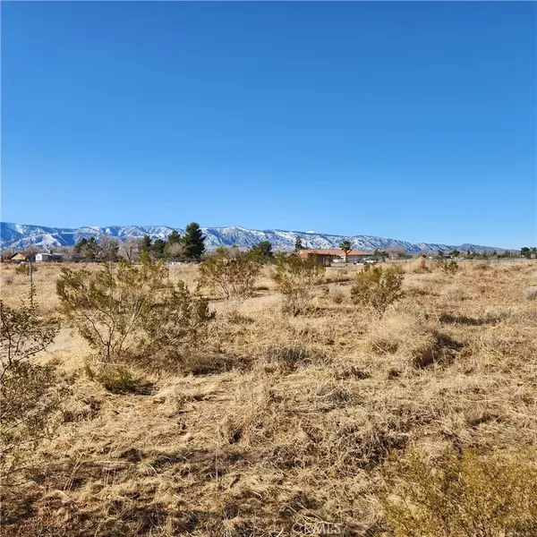 0 Coyote, Phelan, CA 92371