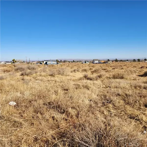 Phelan, CA 92371,0 Coyote