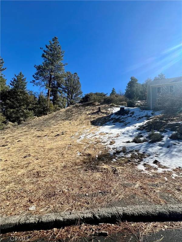 5411 Shirley J, Wrightwood, CA 92397