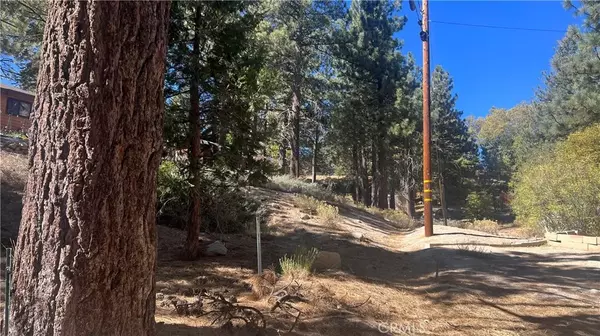 Green Valley Lake, CA 92341,33275 Iris