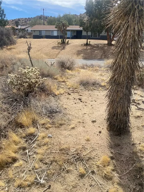 Yucca Valley, CA 92284,0 Desert Gold